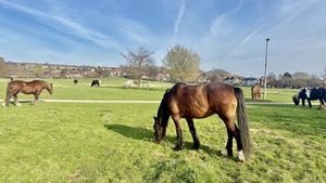 Photo 1- click for photo gallery